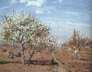 Camille Pissaro Orchard in Bloom at Louveciennes oil painting reproduction